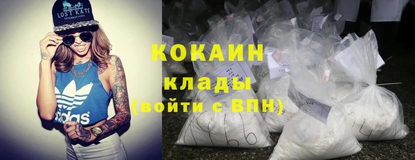 spice Алзамай