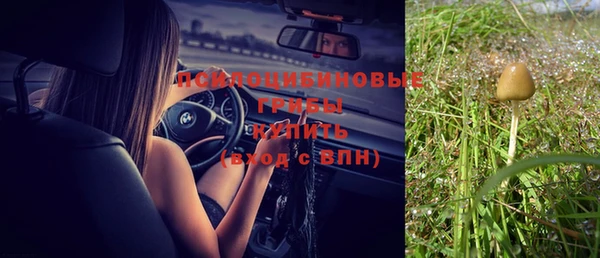 молекула духа Елизово