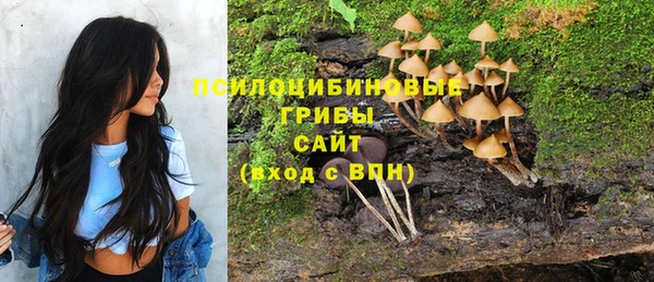 марки lsd Алексеевка