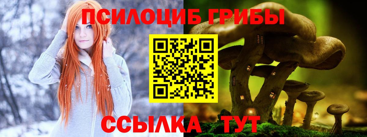 Галлюциногенные грибы прущие грибы Кимры